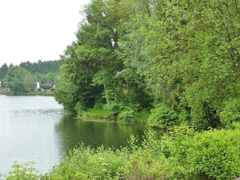 Business + Life Apartment Ferienwohnung Ransbach-Baumbach Екстериор снимка